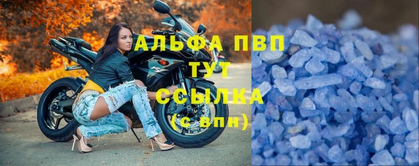 кокс Инта