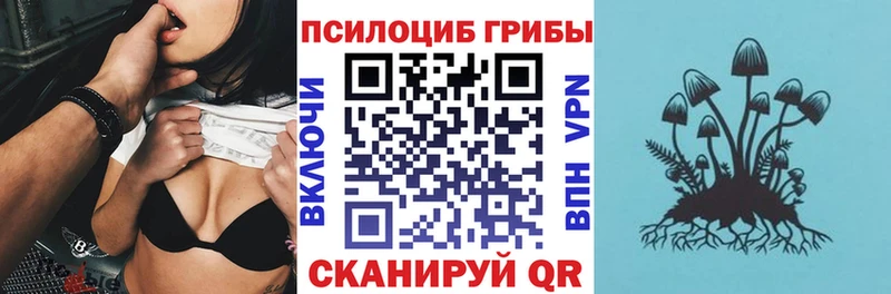 Купить где  Боготол  Псилоцибиновые грибы мицелий 